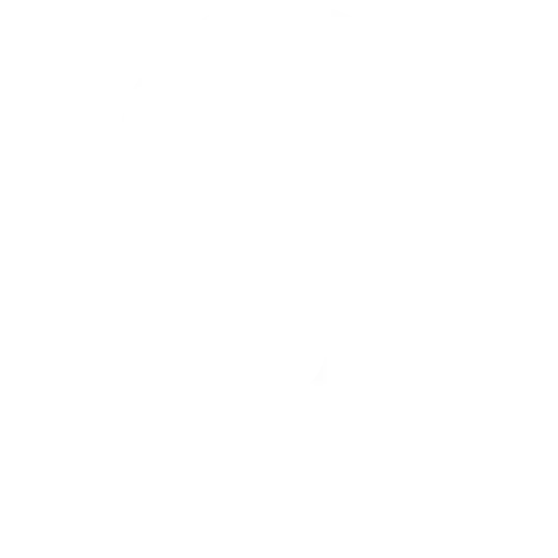 password icon